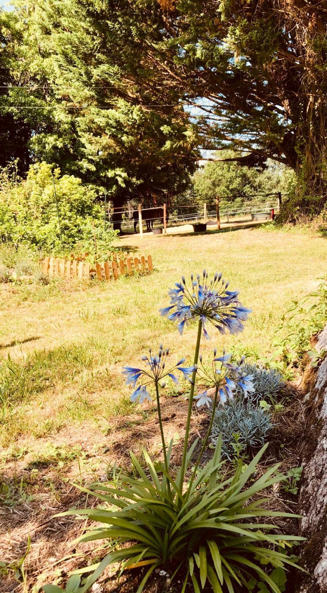 Le Mas Brantôme Exterior foto
